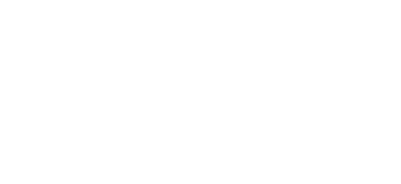 میگ کسٹومز logo